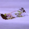 Wholesale Silk scarves