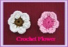 Wholesale crochet flower/cotton flower for quality
