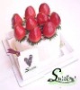 Wholesale gift towel