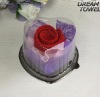 Wholesale Wedding gift