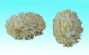 Wholesale 33x24 oval resin plastic flower daisy cluster cabochon lot