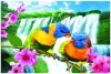 Wholesale lenticular 3d picture