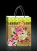 Wholesale pp gift bag ,beautiful bag