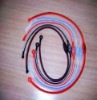 Wholesale silicone Rainbow ion necklace