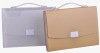 Wholesale carry file with handle
