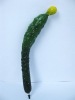 Wholesale vegetable pen