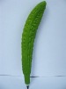 Wholesale fruit pen