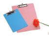 Wholesale clip boarder,folder
