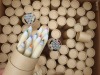 Wholesale Recycled Crayola Colored Paper Pencils Set