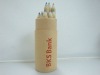 Wholesale Artist Recycled Color Pencils