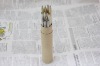 Wholesale Recycled Newspaper Color Pencil Set