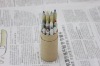 Wholesale Recycled Newspaper Color Pencil Set/MIni Color Pencil