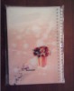 Wholesale pp notebook
