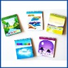 Wholesale unique design memo pad
