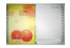 Wholesale pp cover notebook