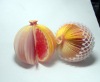 Wholesale Fruit memo pad