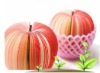 Wholesale 2011 high quality beautiful sticky fruit shape note pad