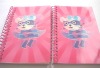 Wholesale Spiral notebook