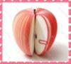 Wholesale 2010 Fruit memo pad