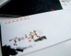 Wholesale envelop