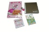 Wholesale small notebook, note pads