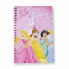 Wholesale 2011 high-quality A4 spiral notebook