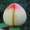Wholesale The stem is made of real twig fruit sticky memo paper
