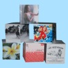lovely sticky memo notes,printed memo pad