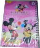 Wholesale PP notebook