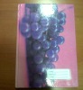 Wholesale High Quality and Competitive Price A4 Hardcover Notebook