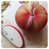Wholesale Fruit Memo Pad (WF-9019)