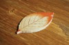 Wholesale leaf shaped sticky note
