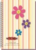 Wholesale 2011 new style spiral notebook(YNSK-005)
