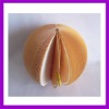 Wholesale 2010 Lovely fruit note pad(fruit note pad)