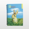 Wholesale rabbit design spiral notebook