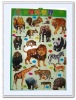 Wholesale 3D embossing effects education chart