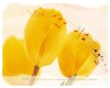 Wholesale 2011 Kinds Of Desk Calendar
