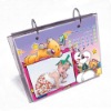 Wholesale delicate desk calendar