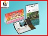 Wholesale printing calendar