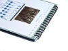 Wholesale desk calendar