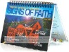 Wholesale 2010 calendar