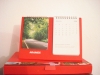 Wholesale Desk calendar
