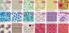 Wholesale Pocket File Folder