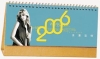 Wholesale 2011 desk calendar