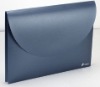 Wholesale Plastic A4 File Folder - customized pattern & logo printing