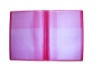 Wholesale PVC File Folder (J163)