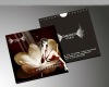 Wholesale Colourful CD folder