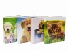 Wholesale Paper file folder/Ring binder