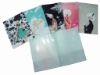 Wholesale 2010 pp file folder (New Style)