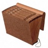 Wholesale expanding file